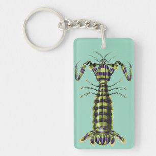 Vintage Giant Mantis Shrimp Marine Art Print Keychain