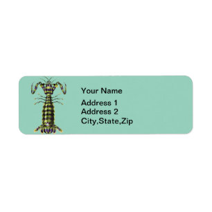 Vintage Giant Mantis Shrimp Marine Art Print Label