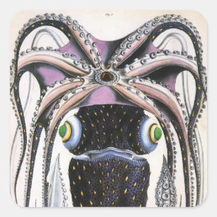 Vintage Giant Squid or Octopus, Marine Life Animal Square Sticker