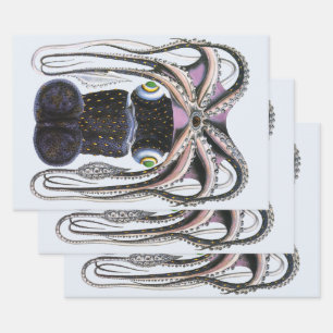 Vintage Giant Squid or Octopus, Marine Life Animal Wrapping Paper Sheets