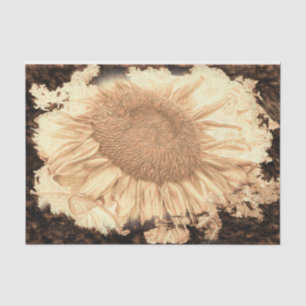 Vintage Giant Sunflowers Painted Rustic Vignette Tissue Paper