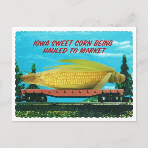 Vintage Gigantic Iowa Sweet Corn on Train Postcard