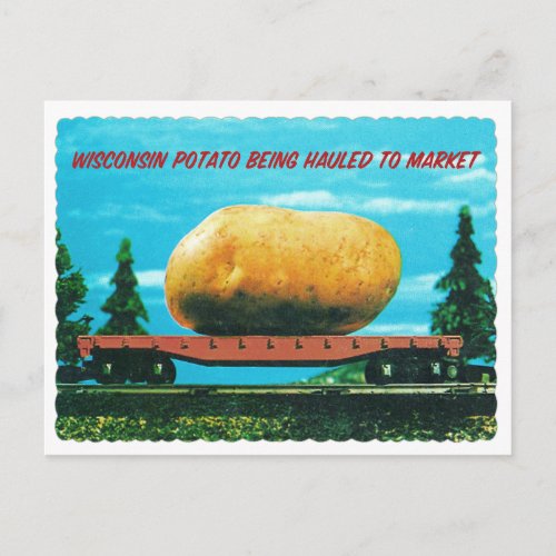 Vintage Gigantic Wisconsin Potato on Train Postcard