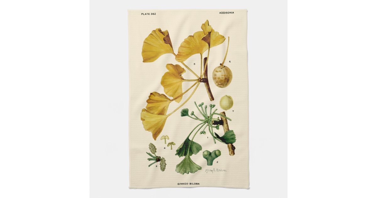 Simple Modern Kitchen Decor Modern Tea Towel Botanical Tea Towel Kitchen  Towel Cottagecore Kitchen Towel Modern Kitchen Towel 