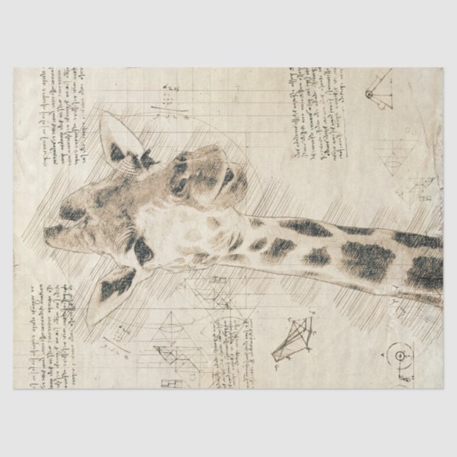 Vintage Giraffe Drawing Tissue Paper (Front)