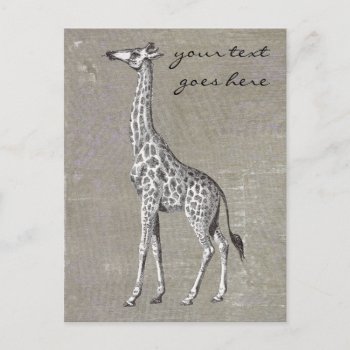 Vintage Giraffe Postcard by Customizables at Zazzle
