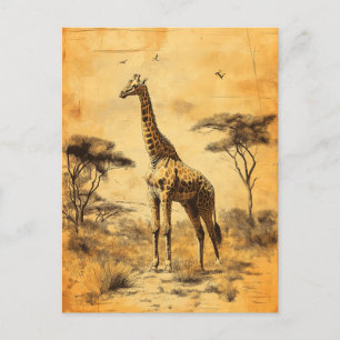 Vintage Giraffe South Africa Savanne Postcard