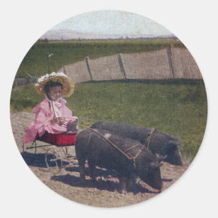 Vintage Girl and Her Pet Pigs Classic Round Sticker