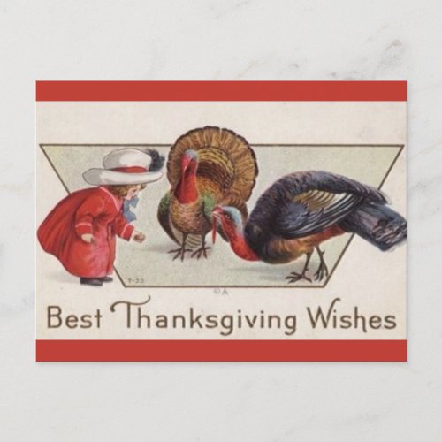 Vintage Girl Feeding Turkeys Thanksgiving Postcard