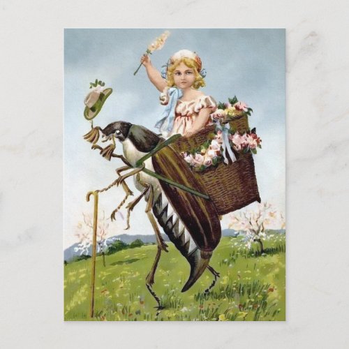 Vintage Girl Riding Insect Postcard