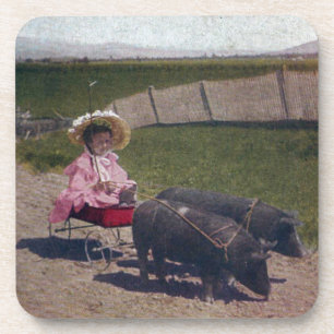Vintage Girl With Her Pet Pigs Coaster