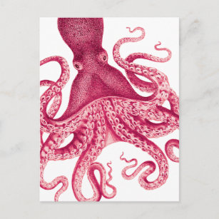 Vintage Girly Pink Octopus Illustration Postcard