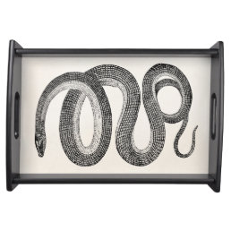 Vintage Glass Snake - Reptile Template Blank Serving Tray