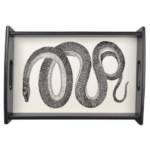 Vintage Glass Snake - Reptile Template Blank Serving Tray