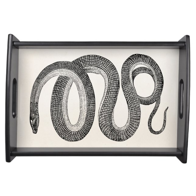 Vintage Glass Snake - Reptile Template Blank Serving Tray (Front)