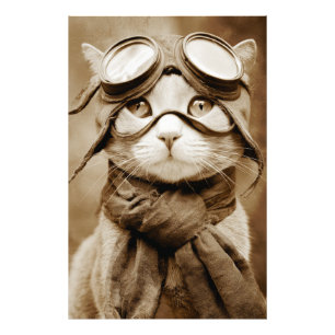 Vintage Goggle Cat Scarf Retro Print