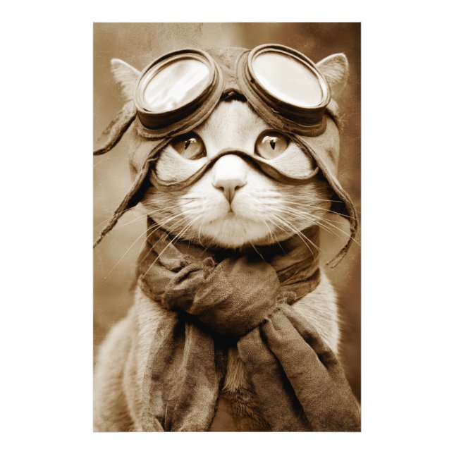 Vintage Goggle Cat Scarf Retro Print (Front)