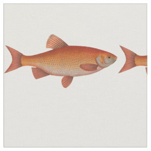 Vintage Gold Fish Fabric