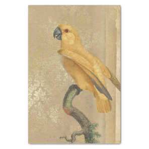 Vintage Gold Parrot Tissue Paper