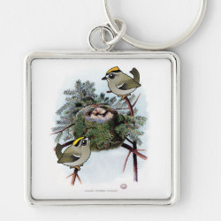 Vintage Golden-crowned Kinglet Premium Square Keychain