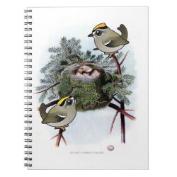 Vintage Golden-crowned Kinglet Photo Notebook (6.5