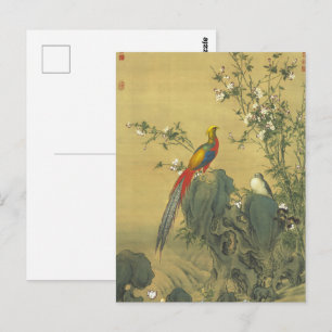 Vintage Golden Pheasant in Spring Garden Art Postcard