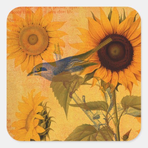 Vintage Golden Sunflower Collage Square Sticker
