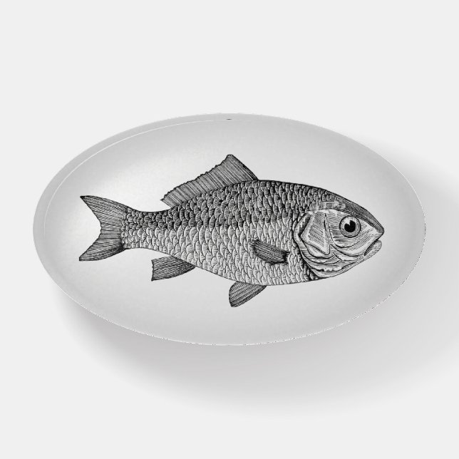Vintage Goldfish 1800's Illustration Paperweight (Front)