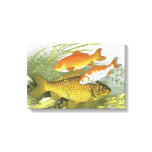 Vintage Goldfish Koi Fish, Marine Aquatic Sea Life Canvas Print