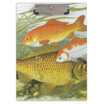Vintage Goldfish Koi Fish, Marine Aquatic Sea Life Clipboard