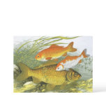 Vintage Goldfish Koi Fish, Marine Aquatic Sea Life Invitation