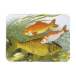 Vintage Goldfish Koi Fish, Marine Aquatic Sea Life Magnet