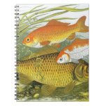 Vintage Goldfish Koi Fish, Marine Aquatic Sea Life Notebook