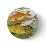 Vintage Goldfish Koi Fish, Marine Aquatic Sea Life Pinback Button