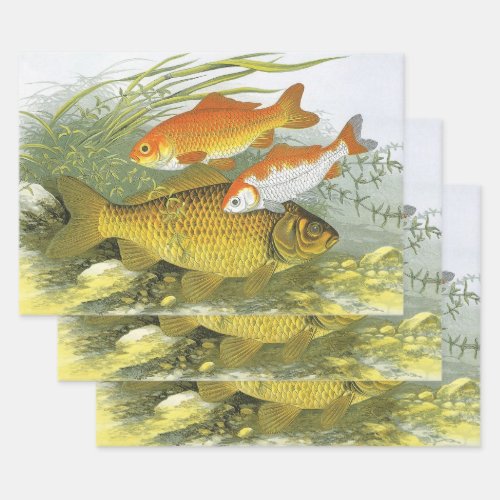 Vintage Goldfish Koi Fish Marine Aquatic Sea Life Wrapping Paper Sheets