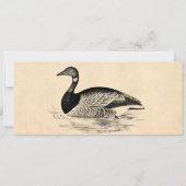Vintage Goose Illustration - 1800's Geese Template (Front)