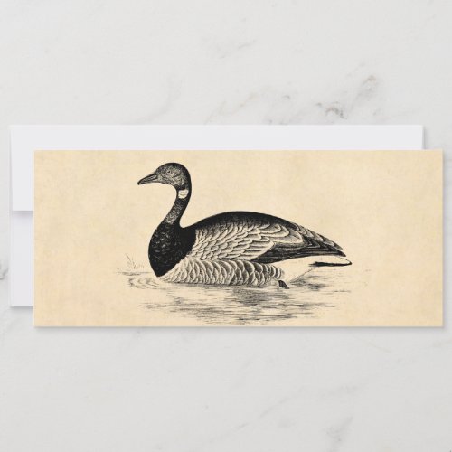Vintage Goose Illustration - 1800's Geese Template Personalized Announcement