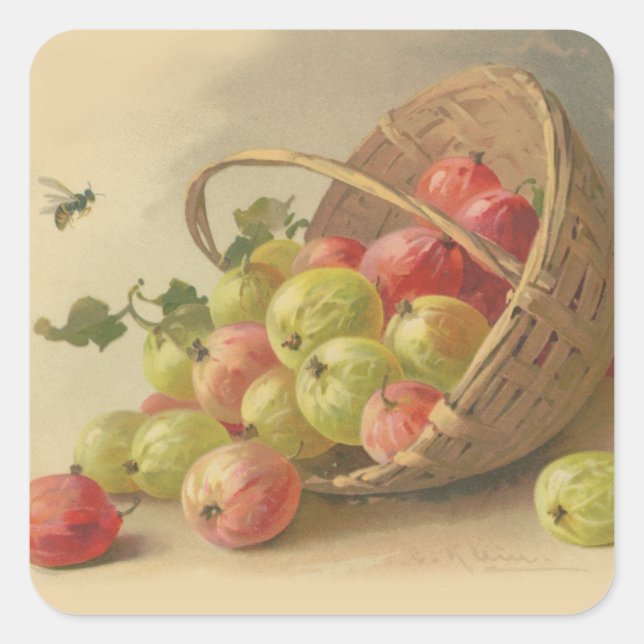 Vintage gooseberries square sticker (Front)