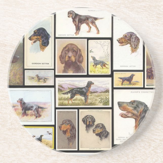 Vintage Gordon Setter Cigarette Card Coaster (Front)