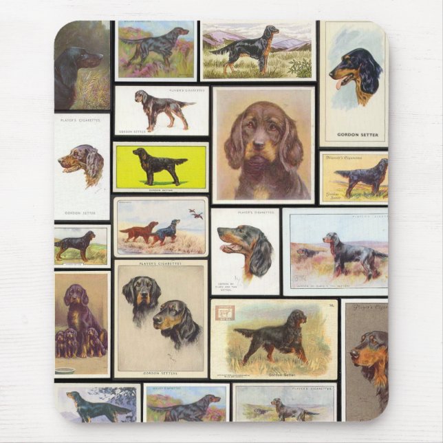 Vintage Gordon Setter Cigarette Cards Mousepad (Front)
