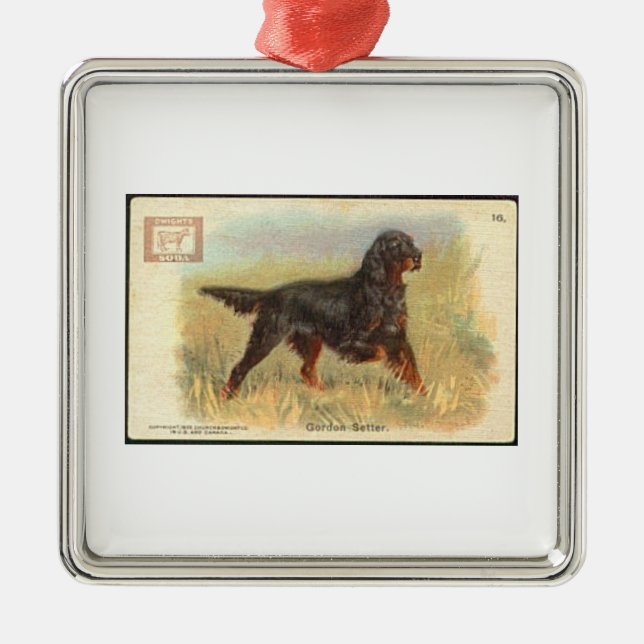 Vintage Gordon Setter Ornament (Front)