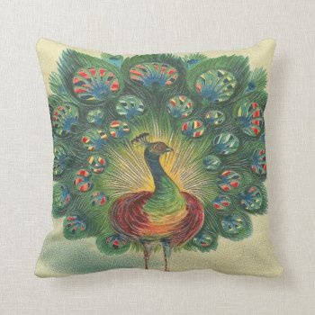 Vintage Gorgeous Peacock Pillow by esoticastore at Zazzle
