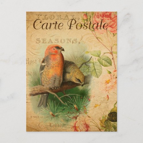 Vintage Gosbeak Birds Floral French Carte Postale Postcard