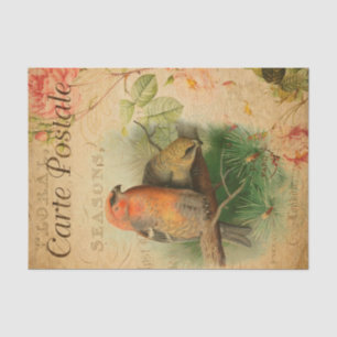 Vintage Gosbeak Birds Floral French Carte Postale Tissue Paper