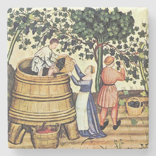Vintage Grape Harvest Image Coaster