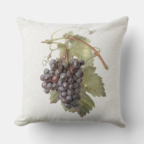 Vintage Grape Image Pillow