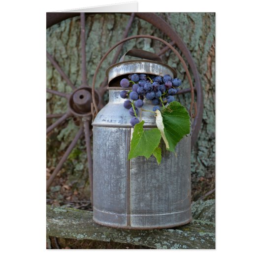 Vintage Grapes (Front)