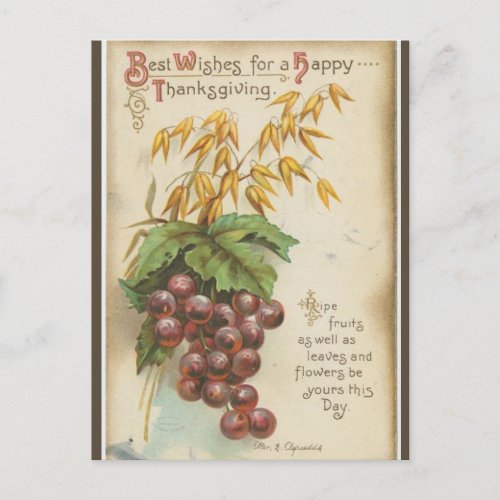 Vintage Grapes and Leaves Thanksgiving Postcard