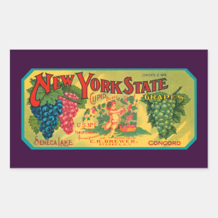 Vintage Grapes Crate Art New York Rectangular Sticker