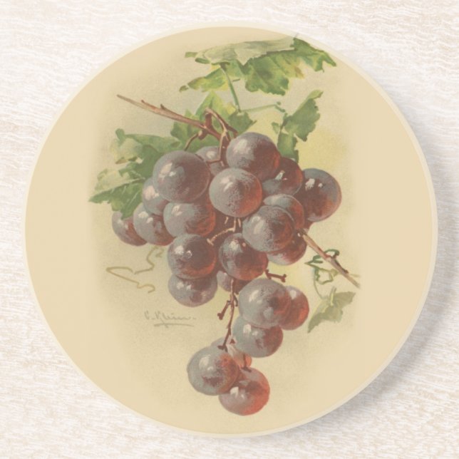Vintage grapes drink coaster (Front)